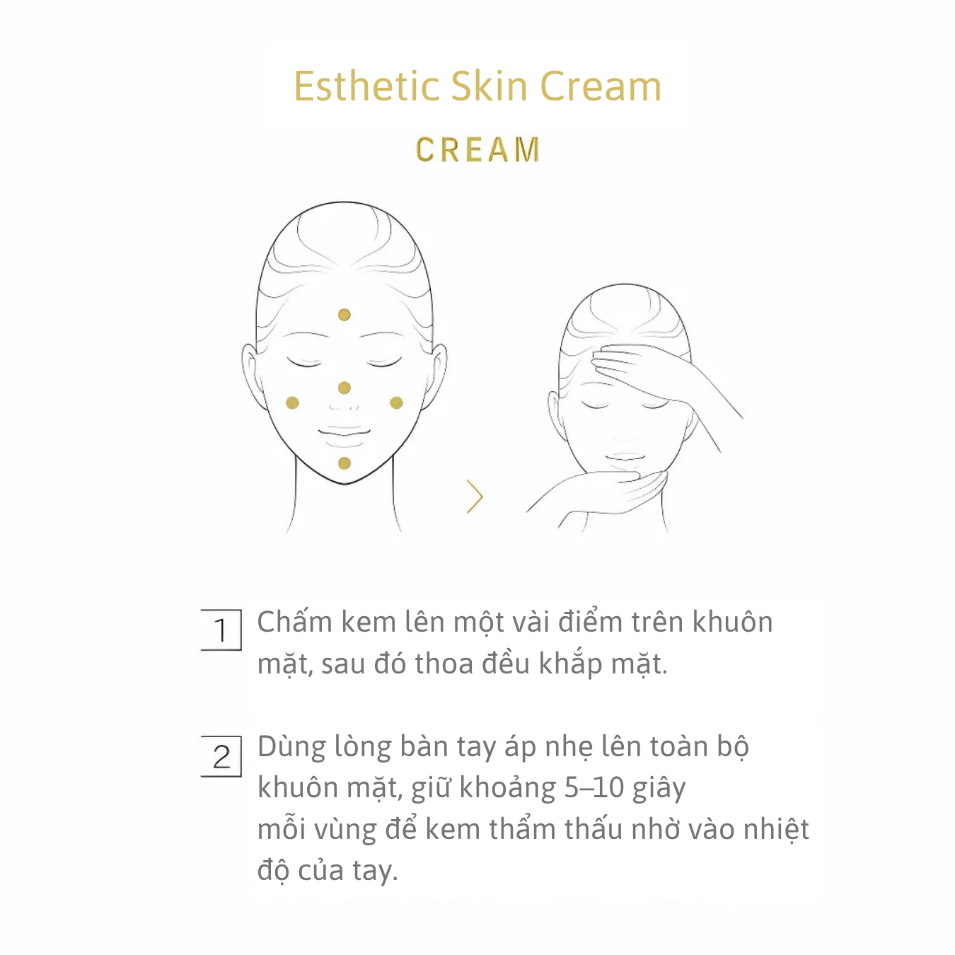 Lucia|Kem dưỡng da Esthetic Skin Cream
